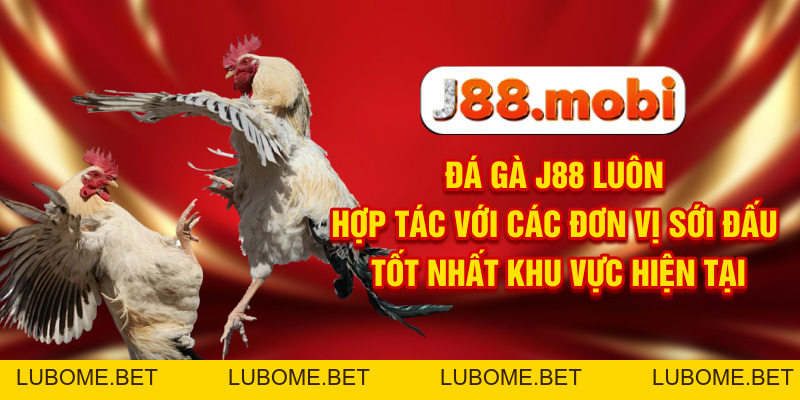 Đá Gà J88 Nơi Trực Tiếp Các Màn Tranh Đấu Đỉnh Cao Đá Gà J88 Nơi Trực Tiếp Các Màn Tranh Đấu Đỉnh Cao
