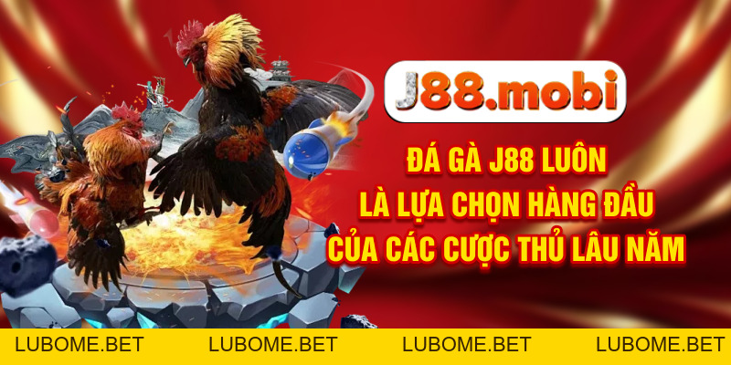 Đá Gà J88 Nơi Trực Tiếp Các Màn Tranh Đấu Đỉnh Cao Đá Gà J88 Nơi Trực Tiếp Các Màn Tranh Đấu Đỉnh Cao