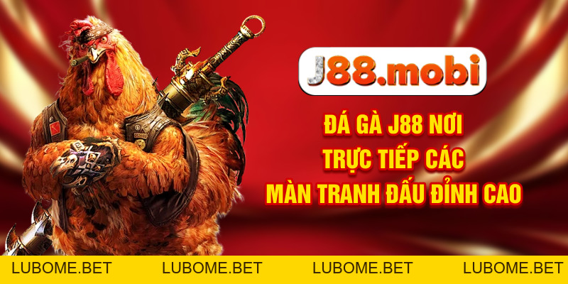 Đá Gà J88 Nơi Trực Tiếp Các Màn Tranh Đấu Đỉnh Cao Đá Gà J88 Nơi Trực Tiếp Các Màn Tranh Đấu Đỉnh Cao