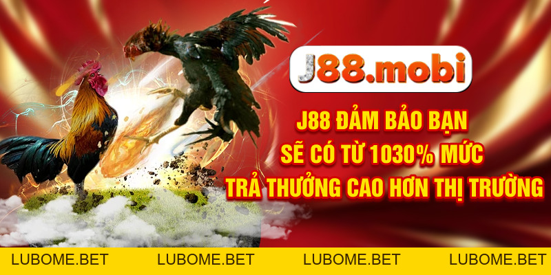 Đá Gà J88 Nơi Trực Tiếp Các Màn Tranh Đấu Đỉnh Cao Đá Gà J88 Nơi Trực Tiếp Các Màn Tranh Đấu Đỉnh Cao