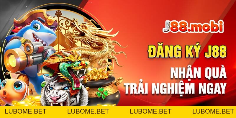 Hướng dẫn